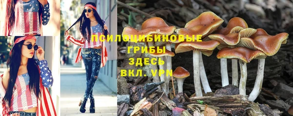 трава Абинск