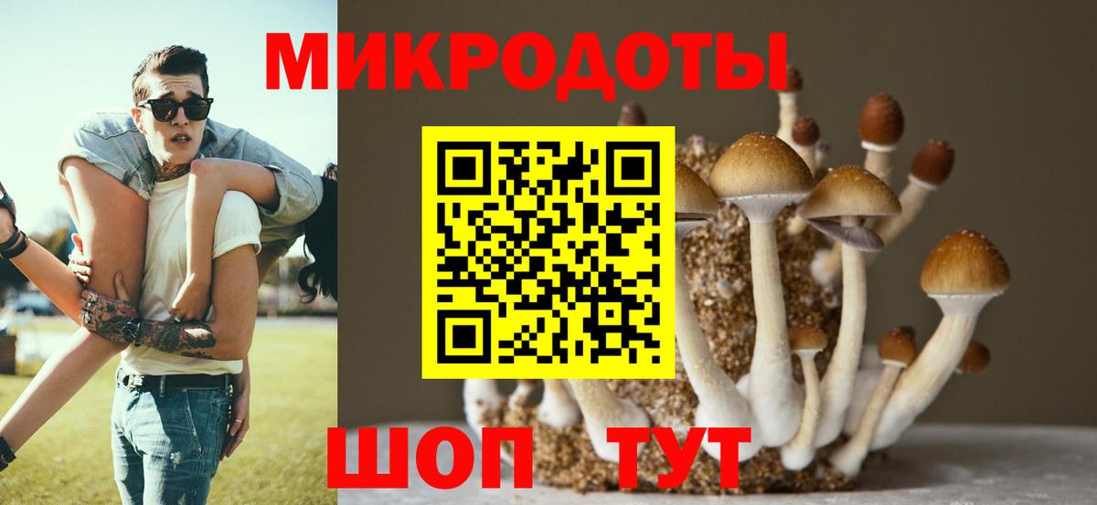 Псилоцибиновые грибы Psilocybe Смоленск