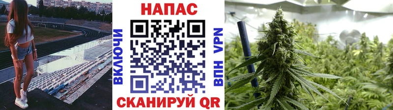 Бошки Шишки семена  хочу наркоту  Смоленск 